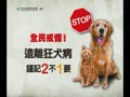 狂犬病防疫宣導－狂犬病5秒插撥卡