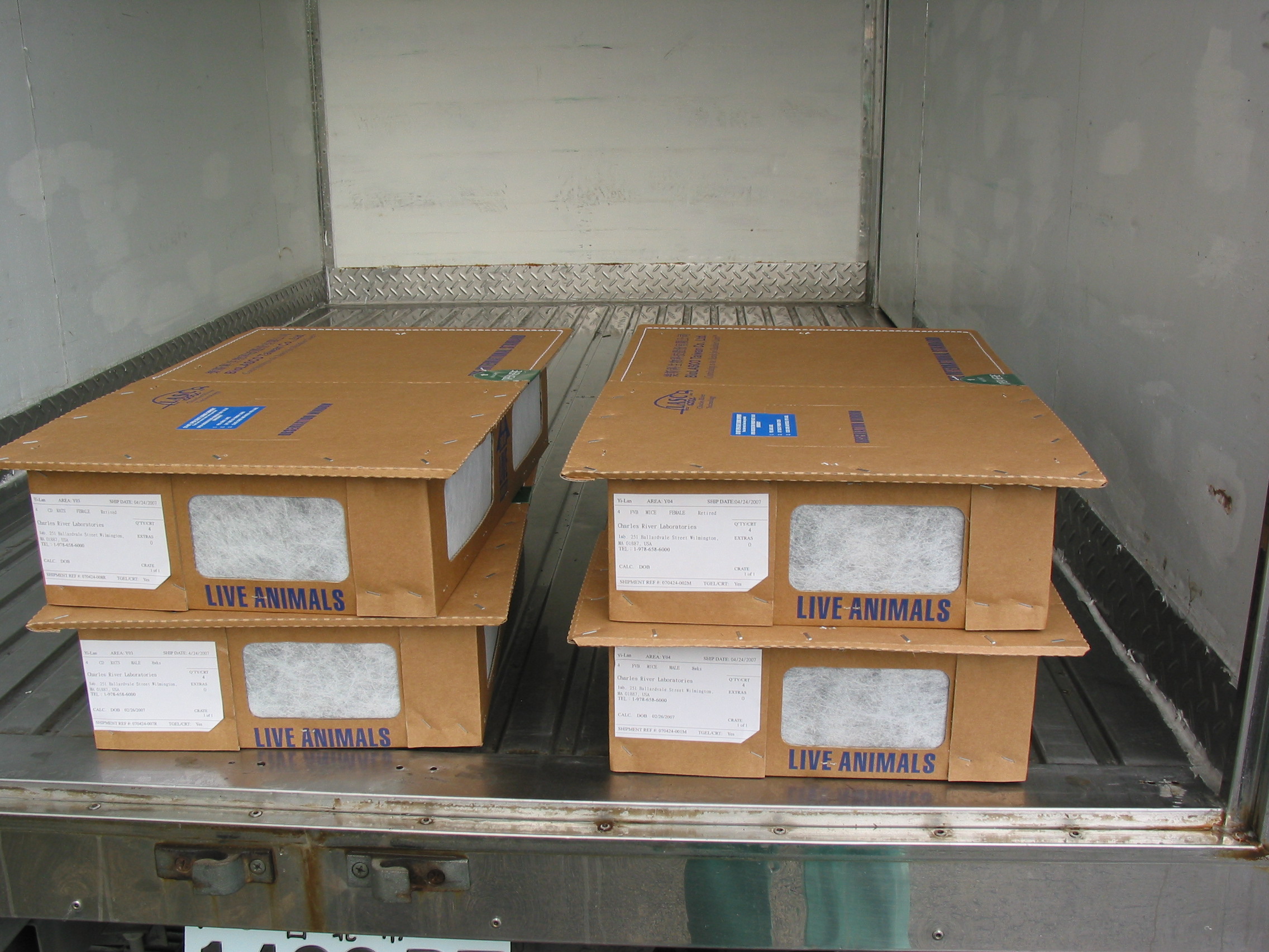 Inspection of animals and their products