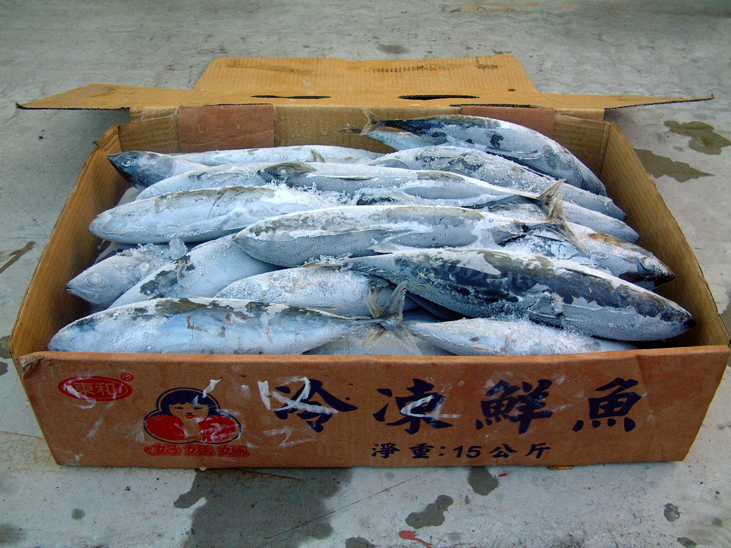 Inspection of animals and their products