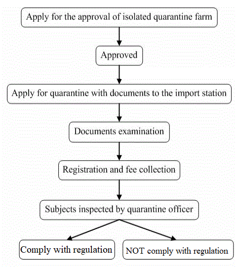 The Quarantine Procedures for Importation of Chicks
