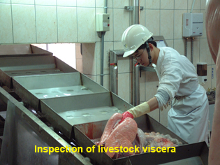 Inspection of Livestock viscera