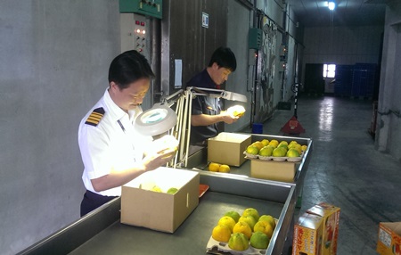 Interface with foreign quarantine officers who come to Taiwan for fresh fruits quarantine treatment procedures