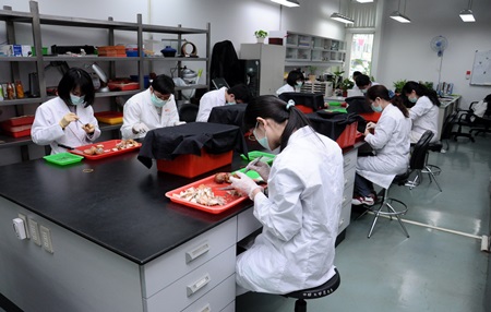 Develop new technologies to meet quarantine requirements for exporting fresh fruits