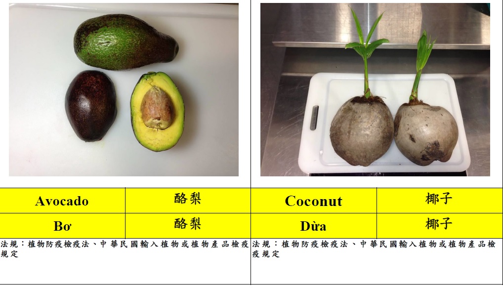 常見入境旅客違規攜帶植物檢疫物圖鑑1