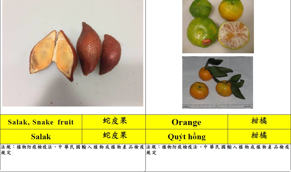 常見入境旅客違規攜帶植物檢疫物圖鑑4