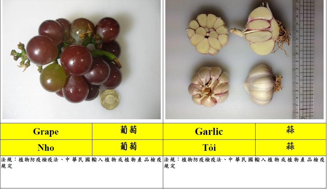 常見入境旅客違規攜帶植物檢疫物圖鑑5