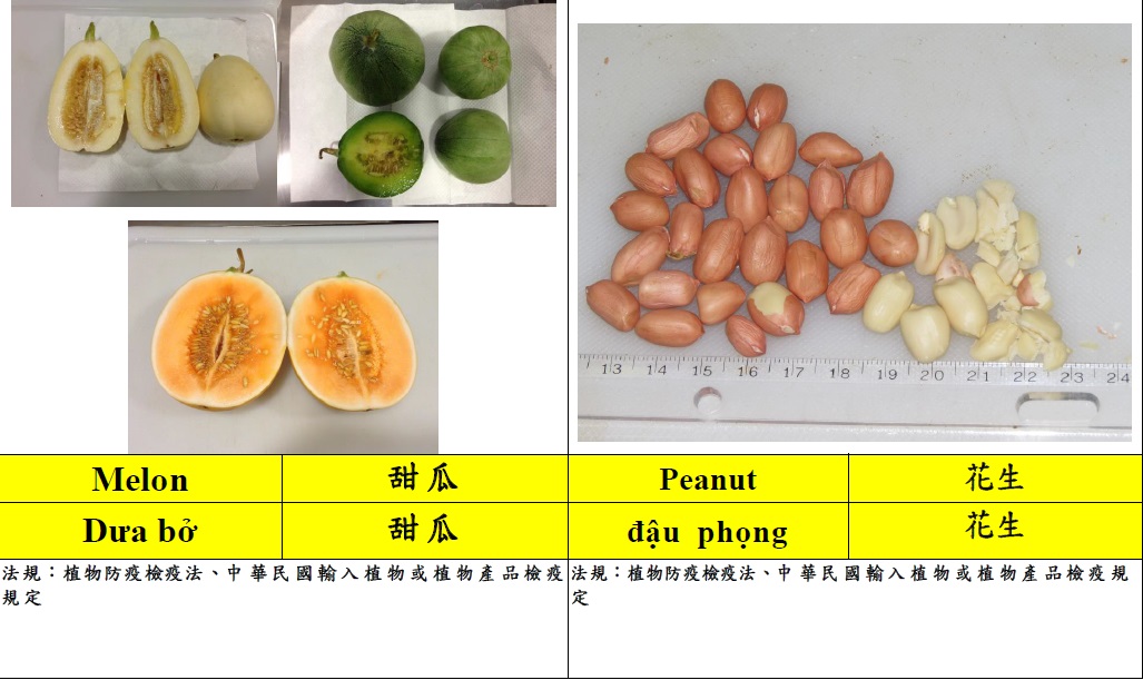 常見入境旅客違規攜帶植物檢疫物圖鑑8