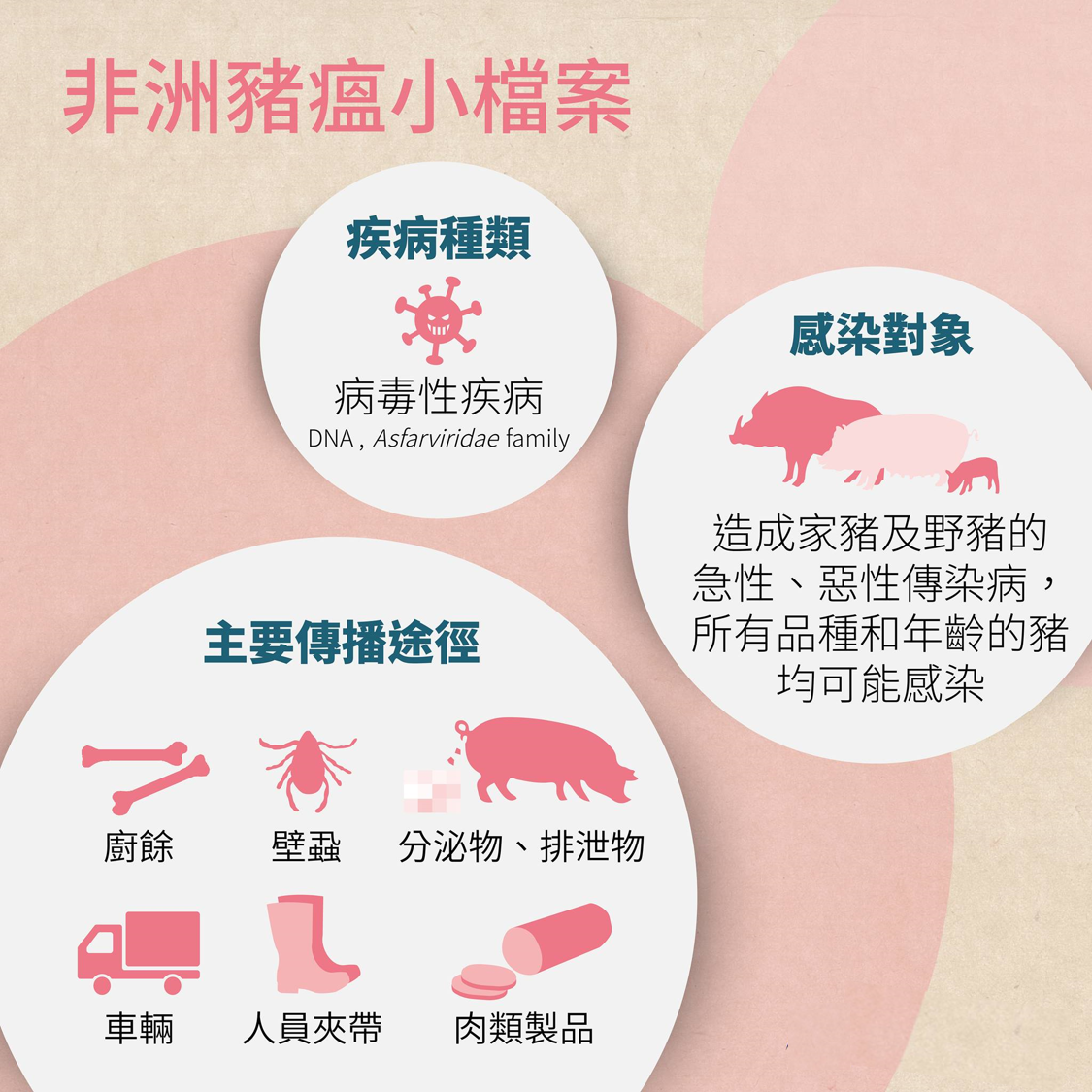非洲豬瘟小知識02