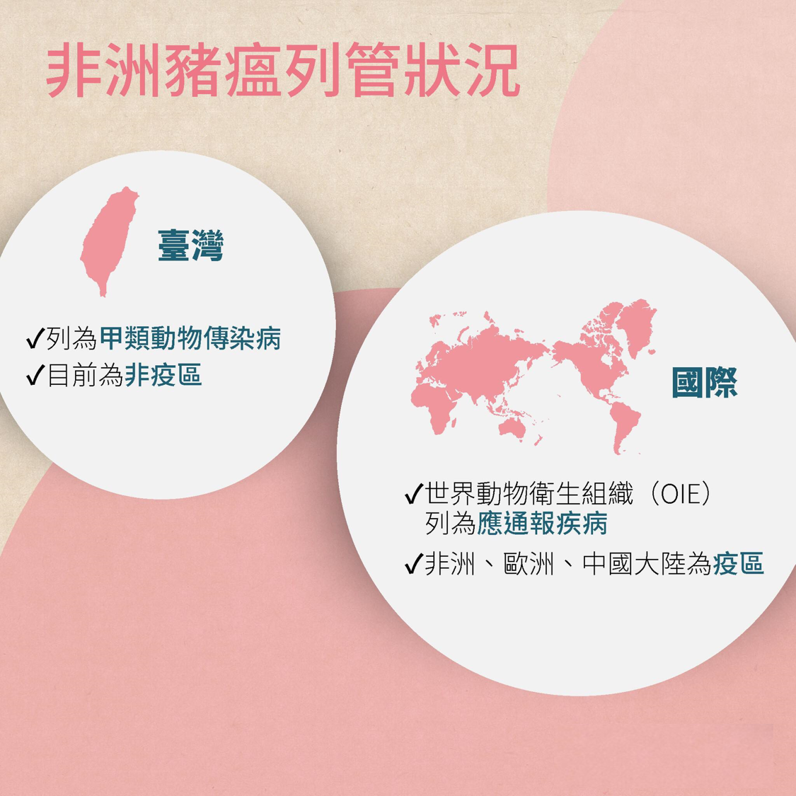 非洲豬瘟小知識04