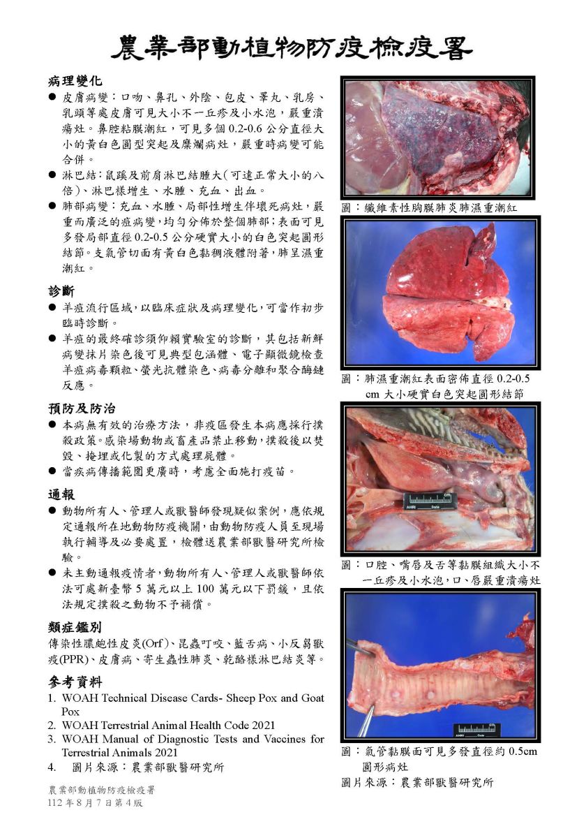 羊痘宣導單張第2頁
