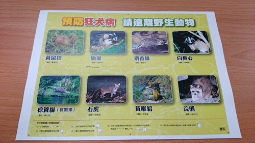 您不可不知的狂犬病-宣導小冊折疊教學-1.將檔案設定置中後，雙面列印