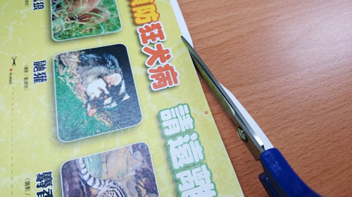 您不可不知的狂犬病-宣導小冊折疊教學-2. 裁去白邊
