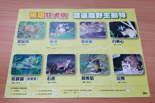 您不可不知的狂犬病-宣導小冊折疊教學-2. 裁去白邊