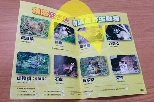您不可不知的狂犬病-宣導小冊折疊教學-4.依下圖對折