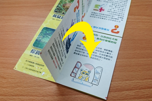 您不可不知的狂犬病-宣導小冊折疊教學-5.翻至宣導文字面，再依下圖將左右側頁面各自對折