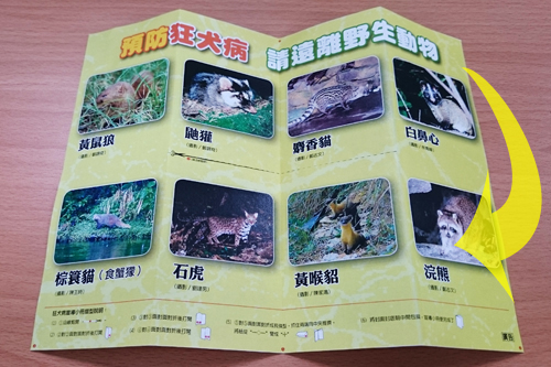 您不可不知的狂犬病-宣導小冊折疊教學-6.把紙攤開，翻到摺頁說明面，依下圖上下對折