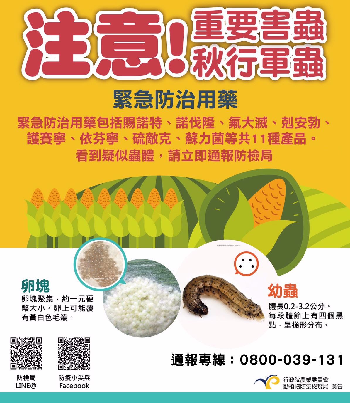 注意! 秋行軍蟲