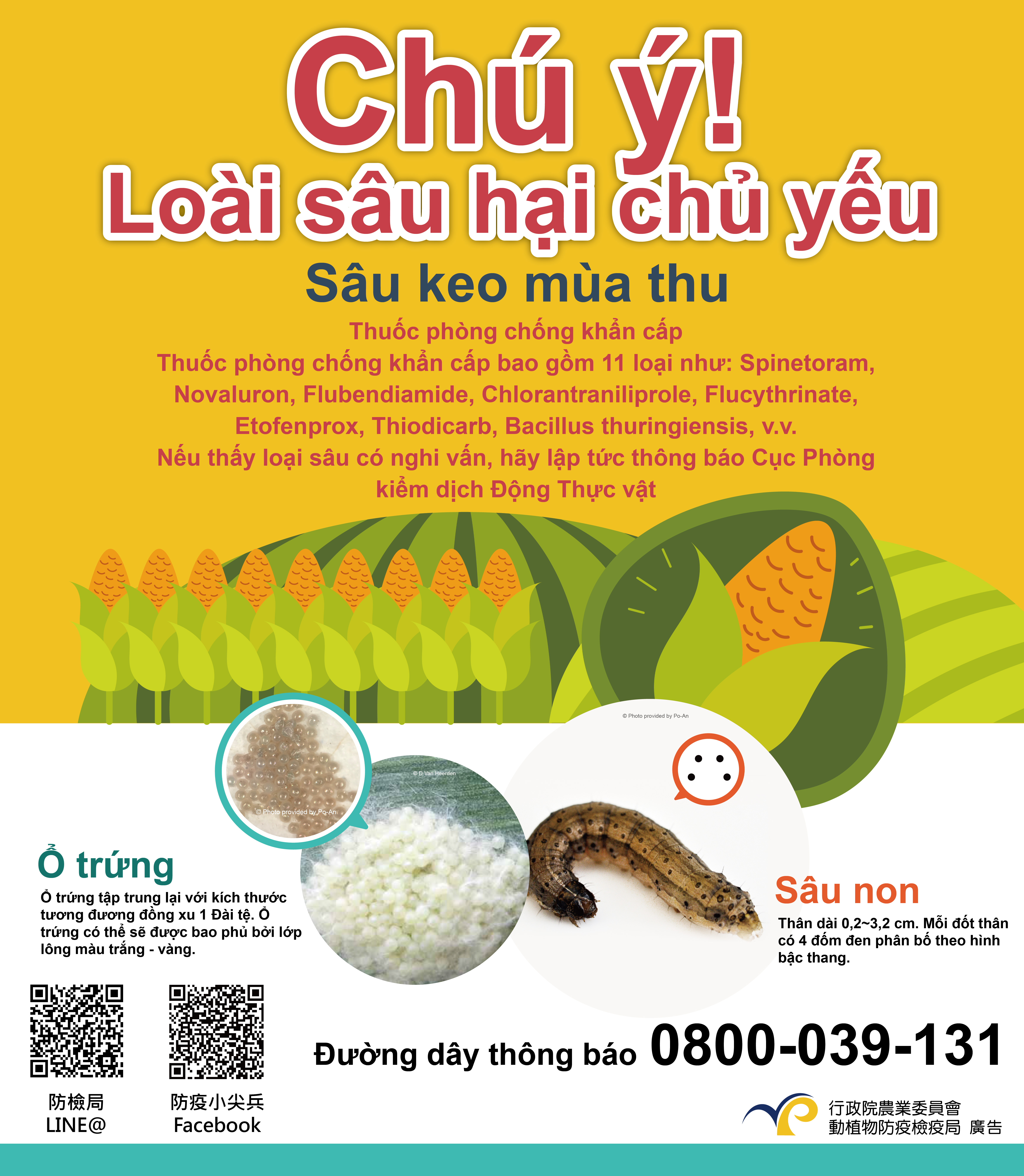 注意! 秋行軍蟲(越南)
