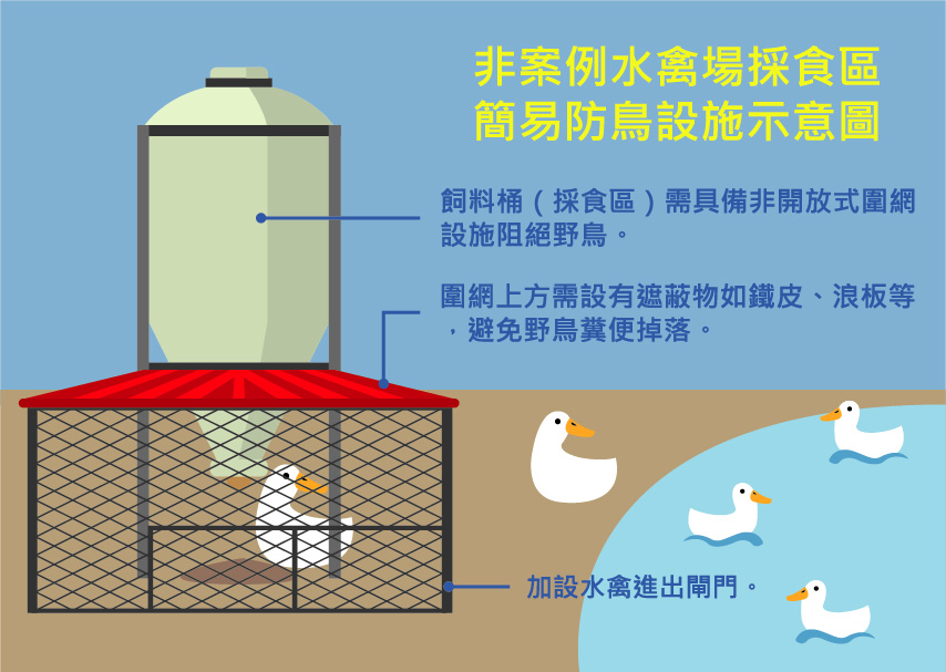 避免野鳥吃到飽 飼料圍網要做好2