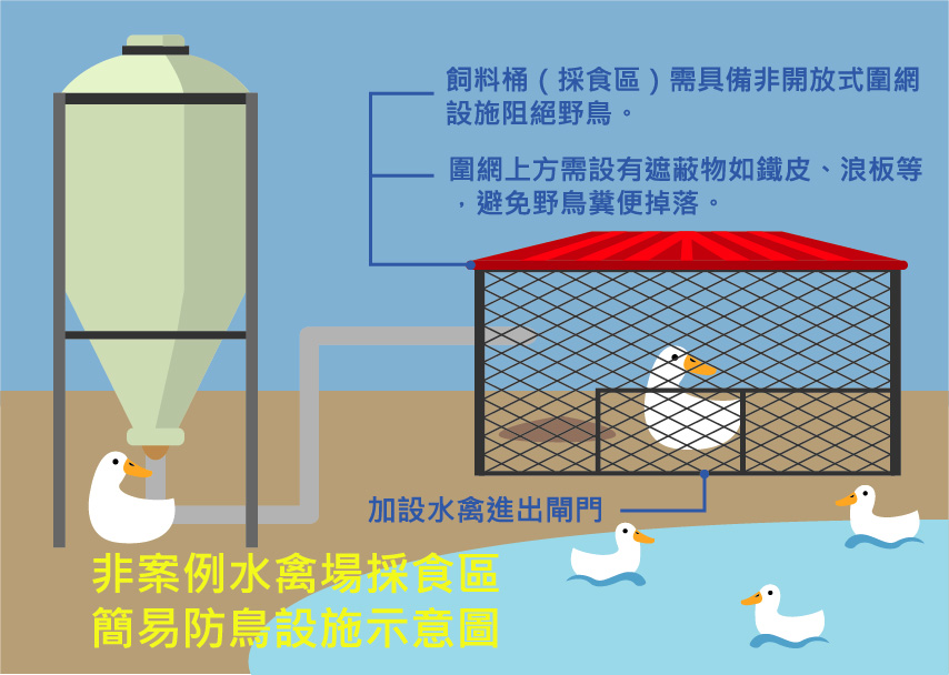 避免野鳥吃到飽 飼料圍網要做好